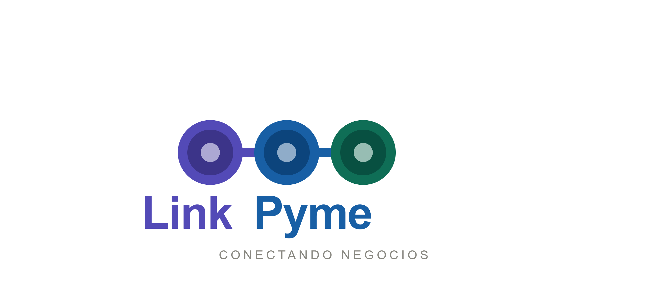 CONECTA ERP